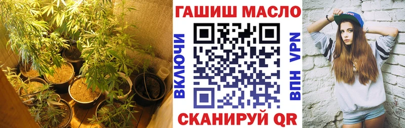 гидра как войти  Зеленокумск  Дистиллят ТГК THC oil 