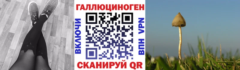 Псилоцибиновые грибы мухоморы  ОМГ ОМГ ссылки  Зеленокумск 